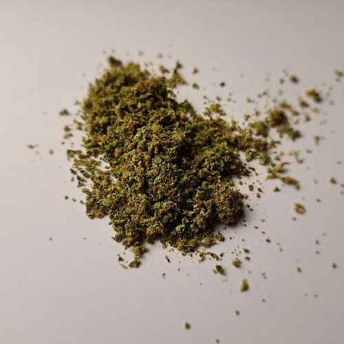 Growreport Bild 38
