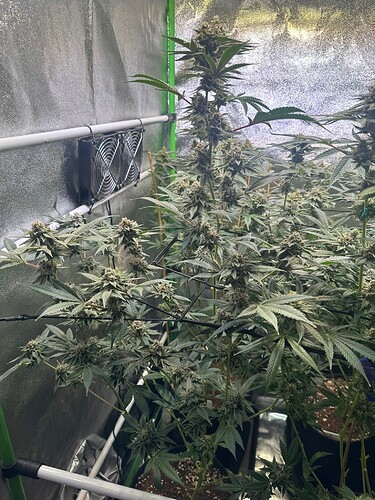 Growreport Bild 13