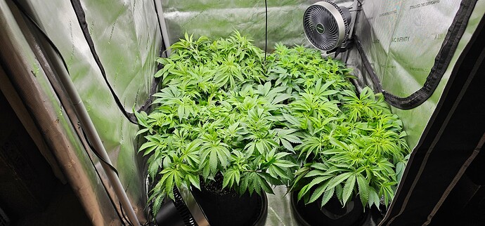 Growreport Bild 10