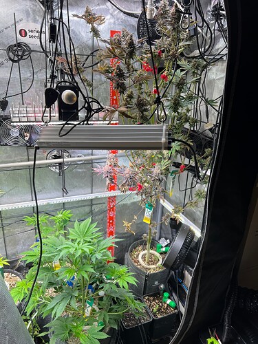 Growreport Bild 4