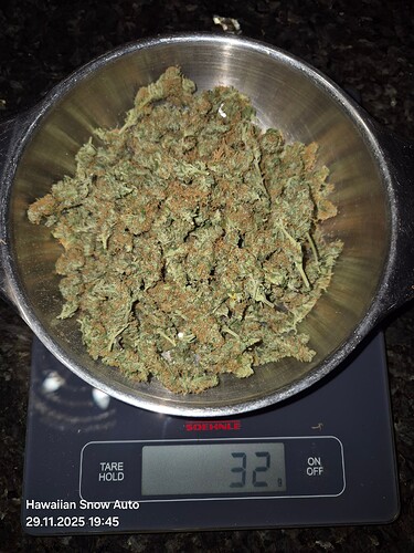 Growreport Bild 6