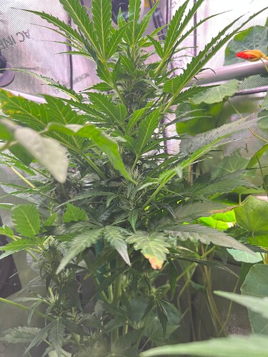 Growreport Bild 7