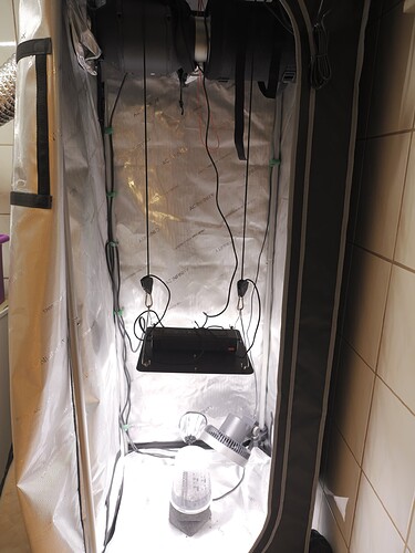 Growreport Bild 6