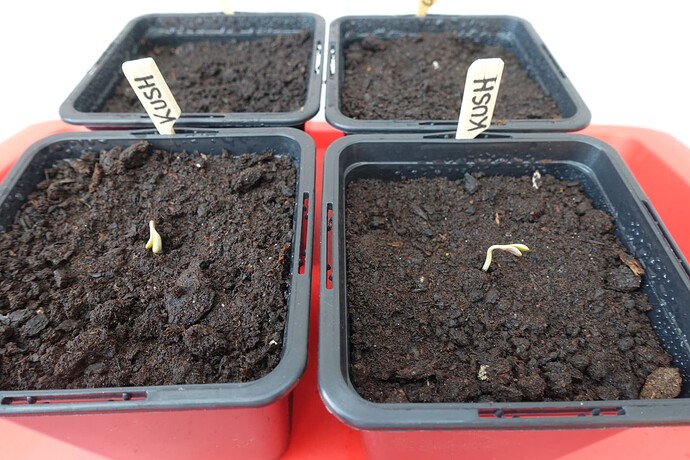Growreport Bild 6
