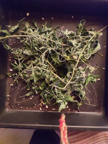 Growreport Bild 27