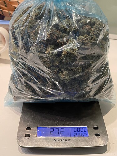 Growreport Bild 4
