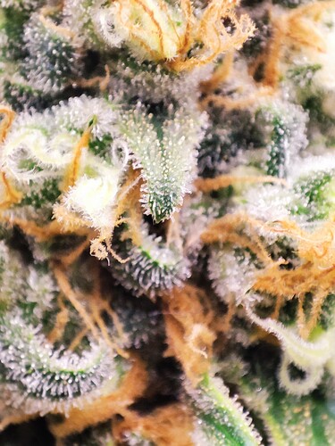 Growreport Bild 14