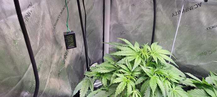 WhatsApp Image 2025-12-14 at 11.04.15