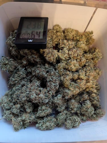 PXL_20250903_163956862