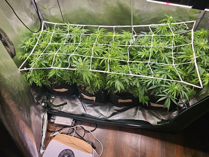 Growreport Bild 2