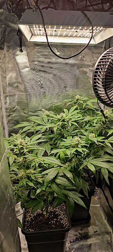 IMG_20250914_163905
