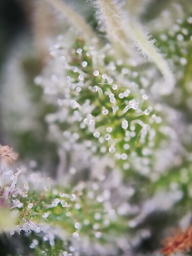 Growreport Bild 11