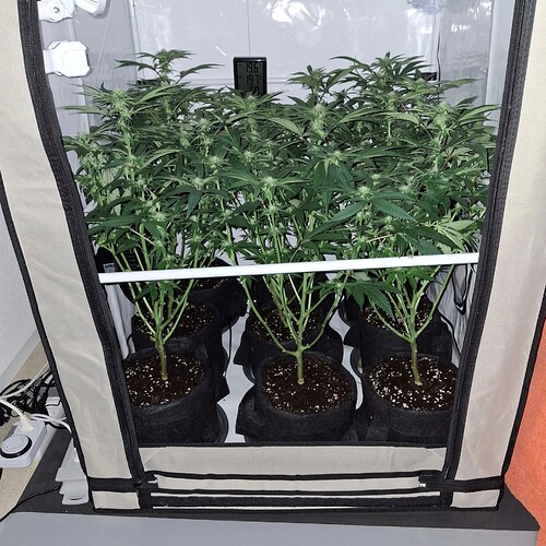 473636557_122164864376293599_5409504981063975450_n