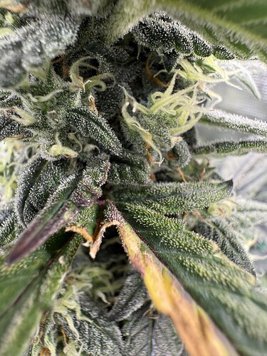 Growreport Bild 10