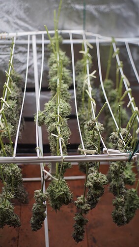 Growreport Bild 11