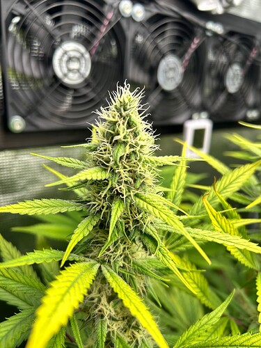 Growreport Bild 6