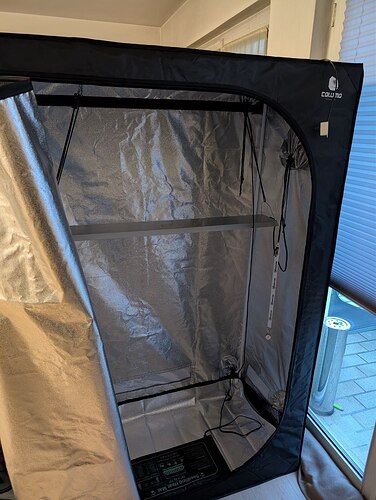 photo_2025-02-24_17-23-27