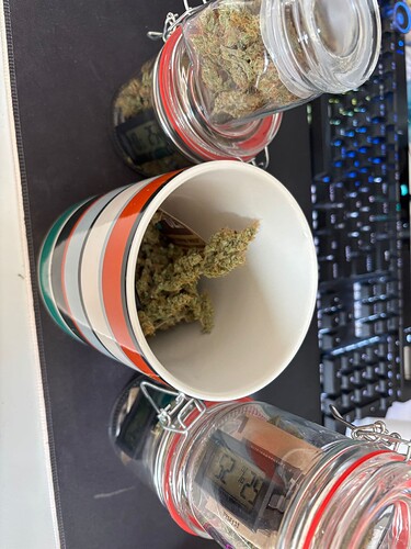 Growreport Bild 3