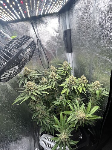 Growreport Bild 2