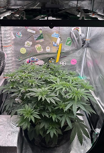 Growreport Bild 15