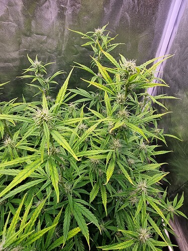 Growreport Bild 24