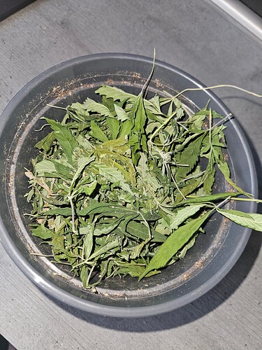 Growreport Bild 34