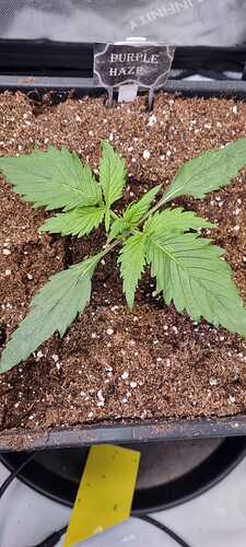 WhatsApp Image 2025-11-28 at 22.49.57 (1)