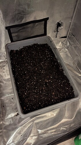 PXL_20260102_172929724