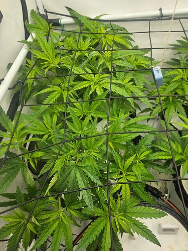 Growreport Bild 22