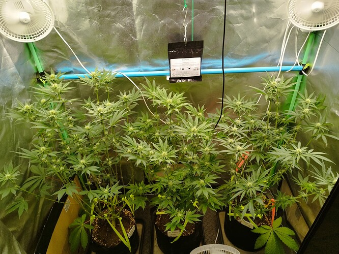 Growreport Bild 13