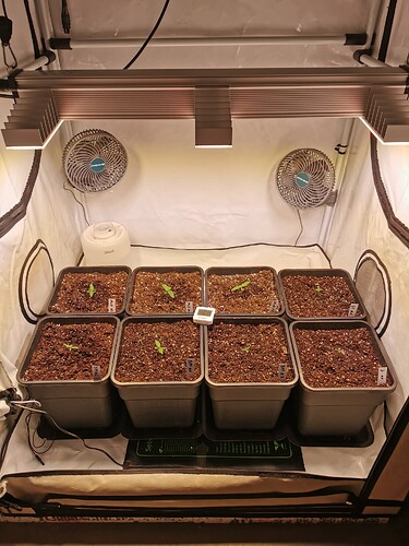 Growreport Bild 7