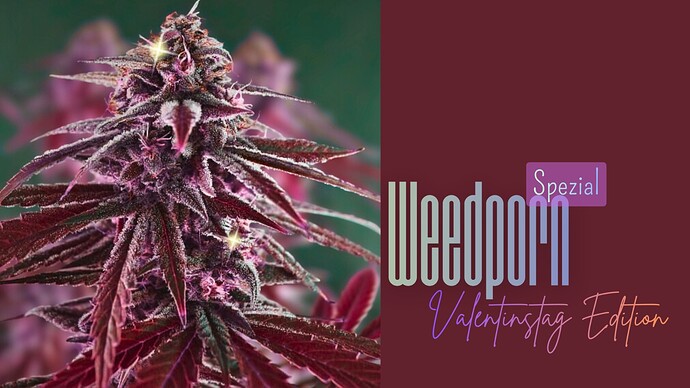Weedporn_Februar2026