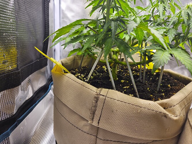Growreport Bild 53