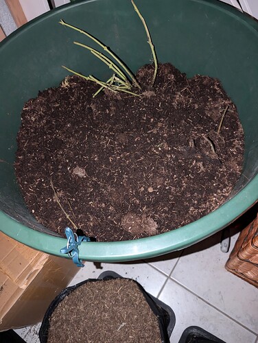 PXL_20241021_081732960