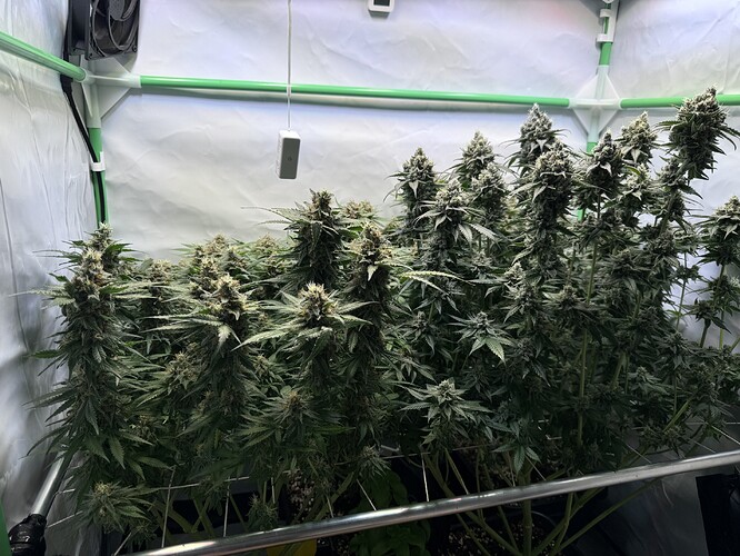 Growreport Bild 8