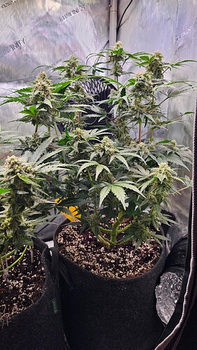 Growreport Bild 11