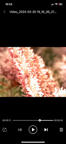 Growreport Bild 11