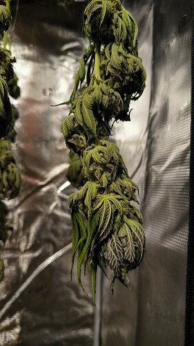 Growreport Bild 20
