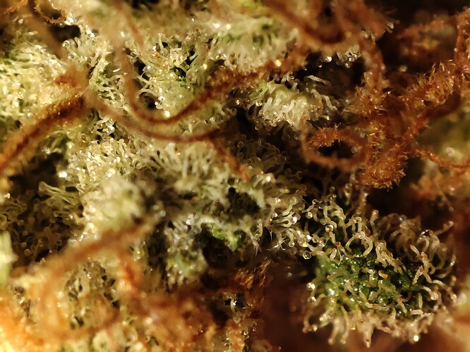 Growreport Bild 12