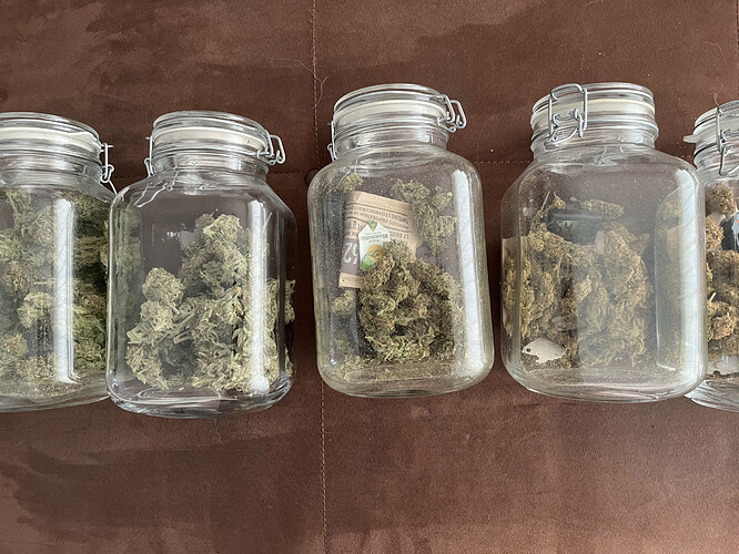 C93F558A-F9B1-4A03-8D89-4717C37E9740_1_201_a