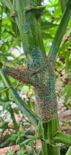 Growreport Bild 19