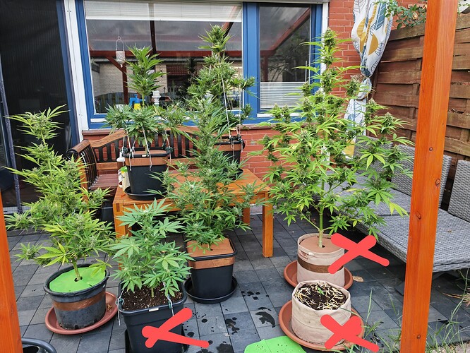 Growreport Bild 1
