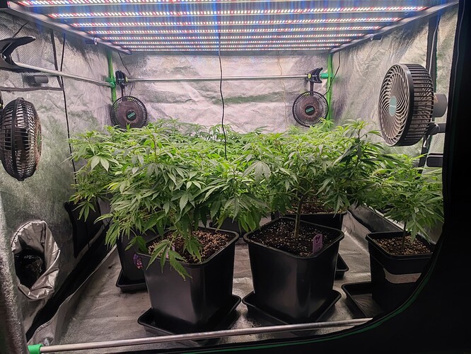 Growreport Bild 25