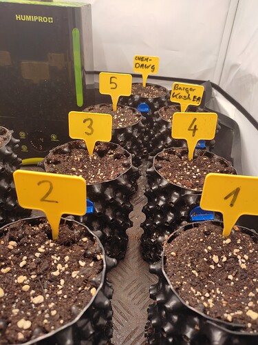 Growreport Bild 11