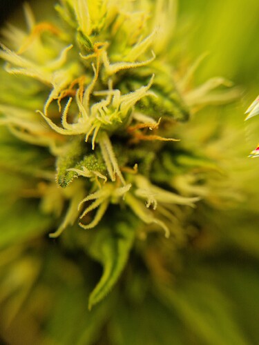 Growreport Bild 15