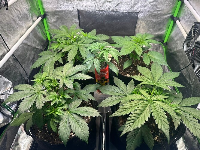 Growreport Bild 8