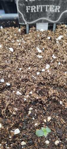 WhatsApp Image 2025-11-24 at 14.52.50