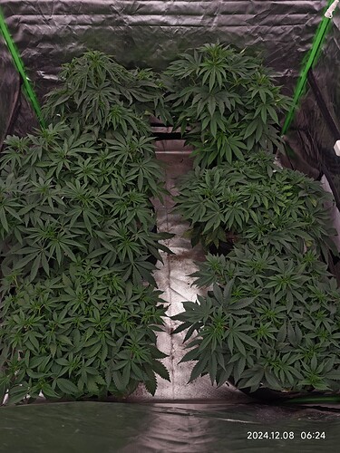 Growreport Bild 8