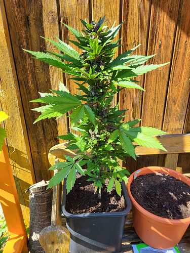 WhatsApp Bild 2024-07-12 um 21.29.59_fabd0f52