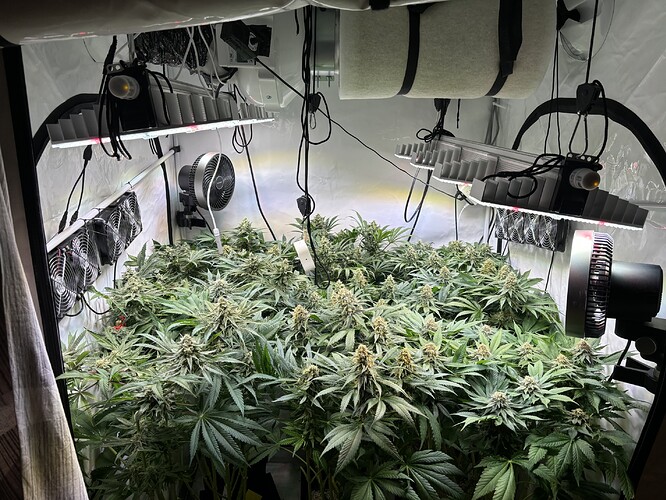 Growreport Bild 25